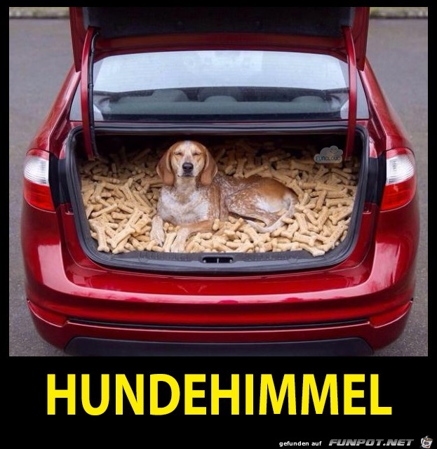 Hundehimmel