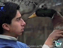 animated-gifs-38-006 animated-gifs-38-006