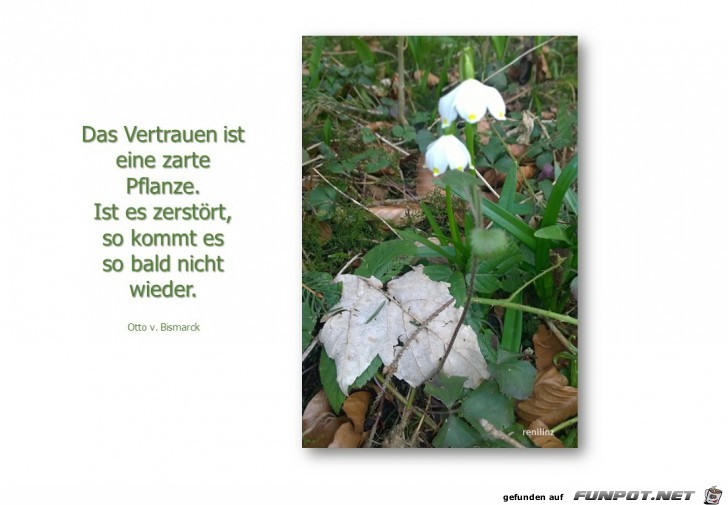 das Vertrauen ist das Vertrauen ist