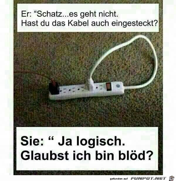 Die weibliche Logik