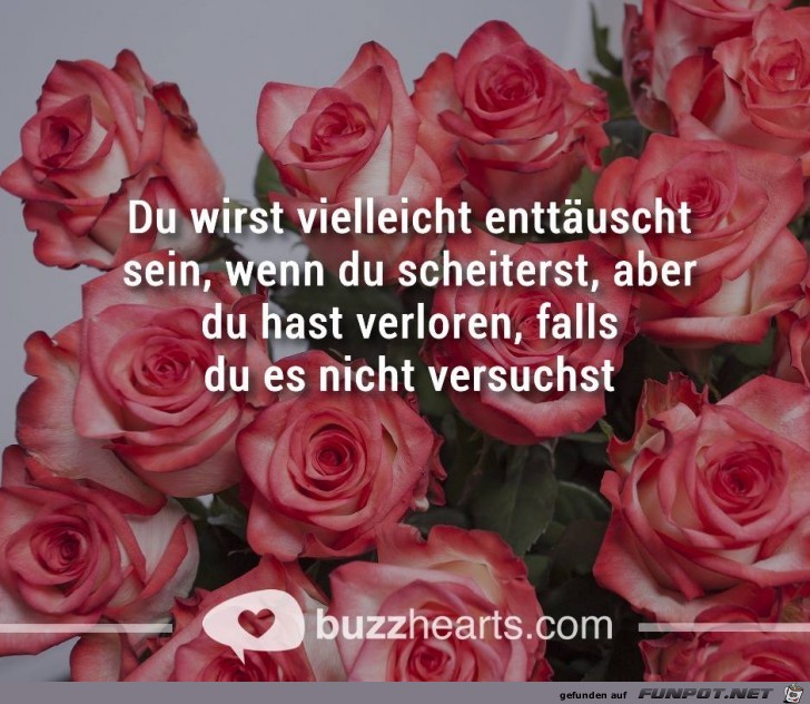 Du wirst vielleicht enttaeuscht Du wirst vielleicht enttaeuscht