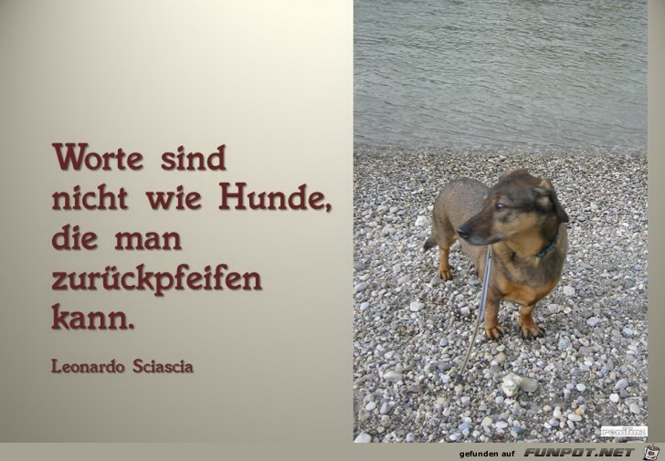 Worte sind