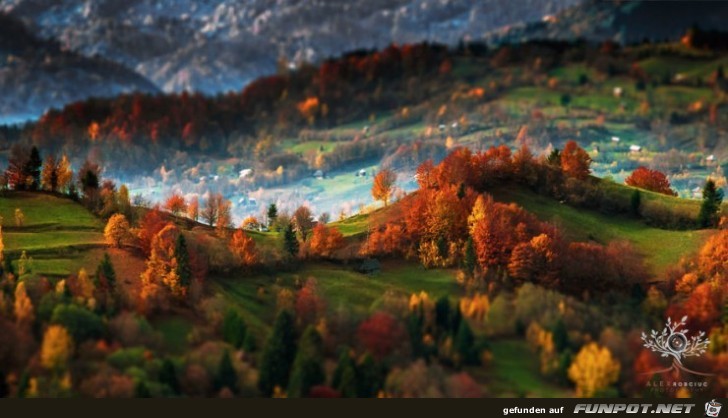 Tolle Orte, die du im Herbst besuchen kannst!