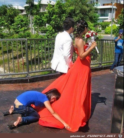 Wedd Photograph Wedd Photograph