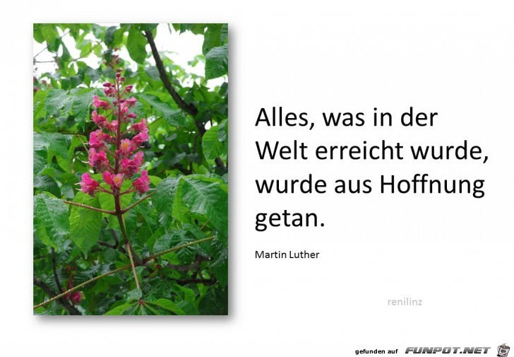 Alles was in der Welt..