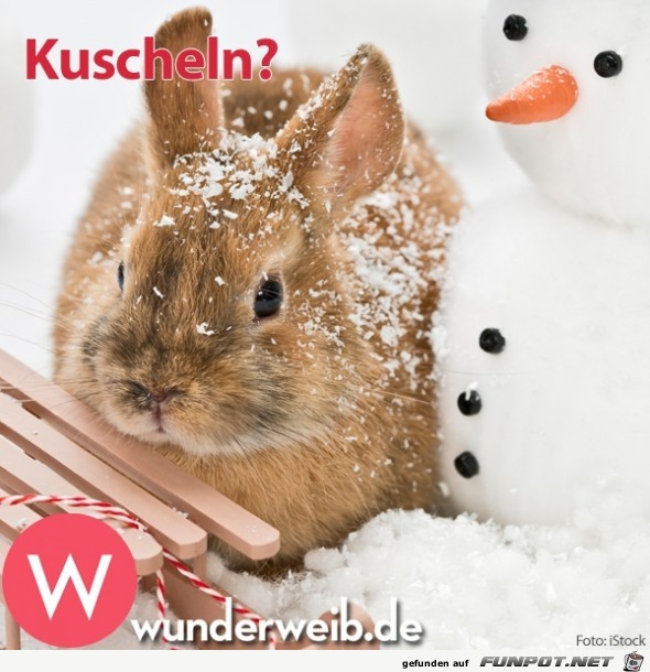 kuscheln