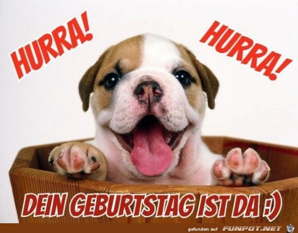 Hurra Hurra