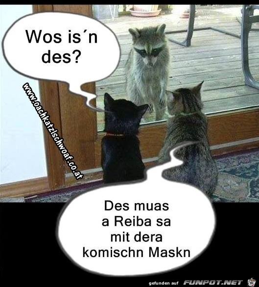Wos is des Wos is des
