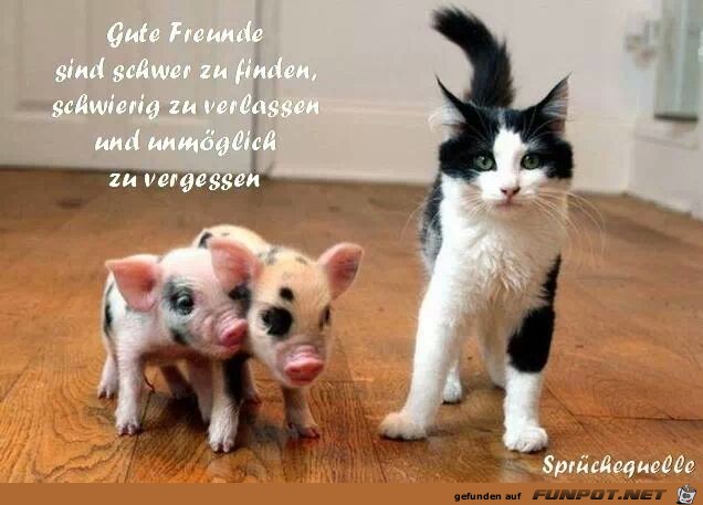 gute freunde sind schwer zu finden gute freunde sind schwer zu finden