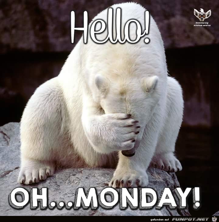 Montag Montag