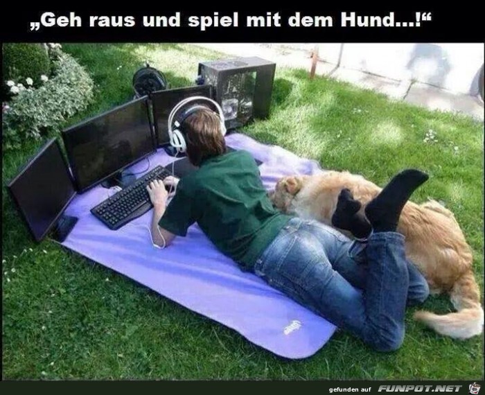 geh raus geh raus