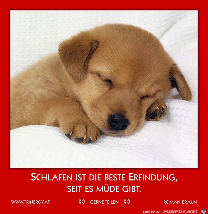 schlafen schlafen