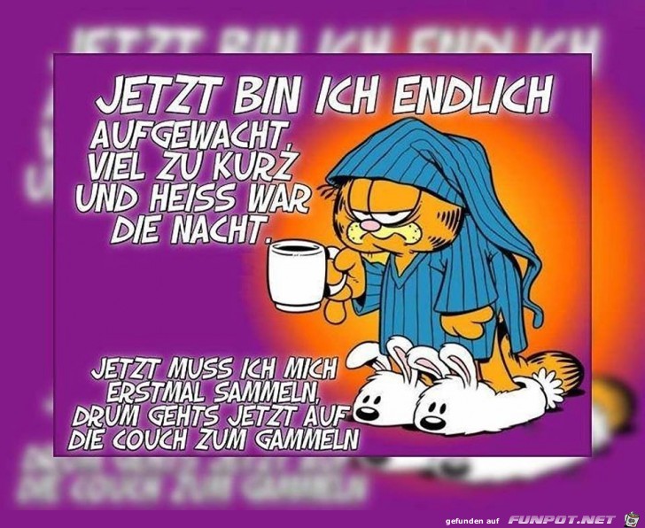 Jetzt bin ich endlich aufgewacht Jetzt bin ich endlich aufgewacht