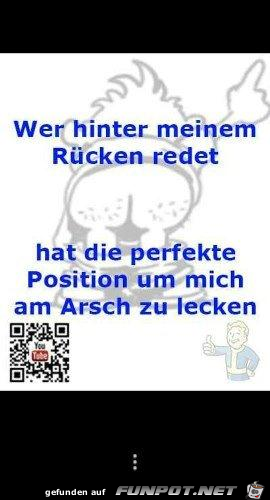 Witzige Bilder