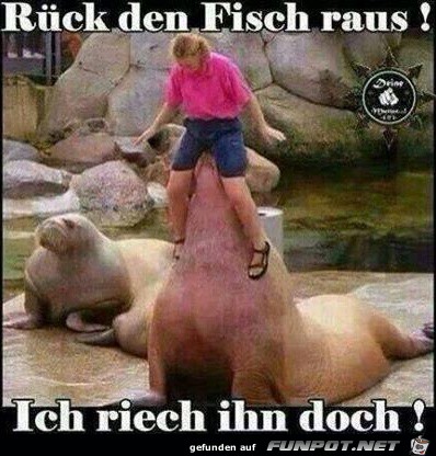 rueck-den-fisch