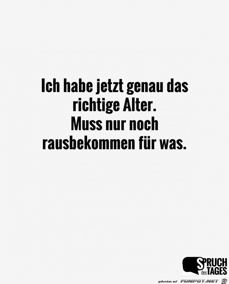 alter alter
