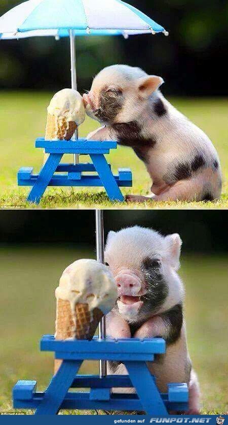 Sooo Lecker Sooo Lecker