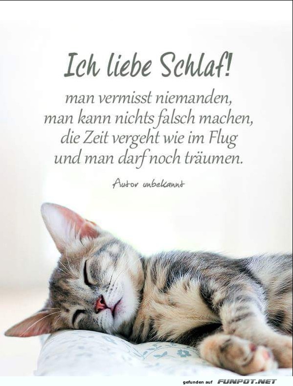 10 sch�ne Spr�che und Lebensweisheiten aus...