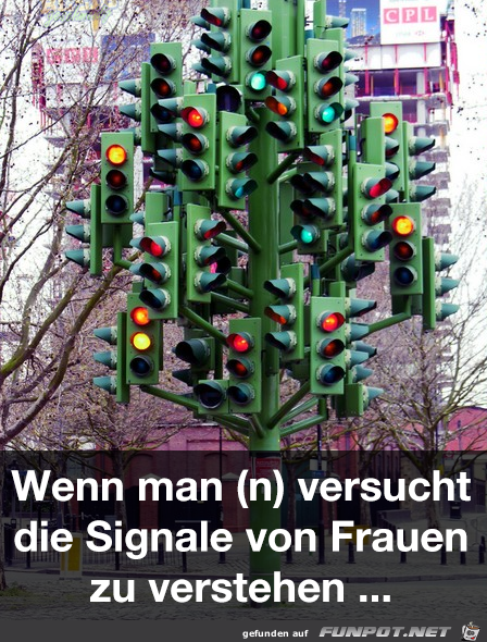 verstehen verstehen