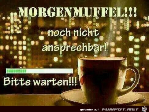 Morgenmuffel