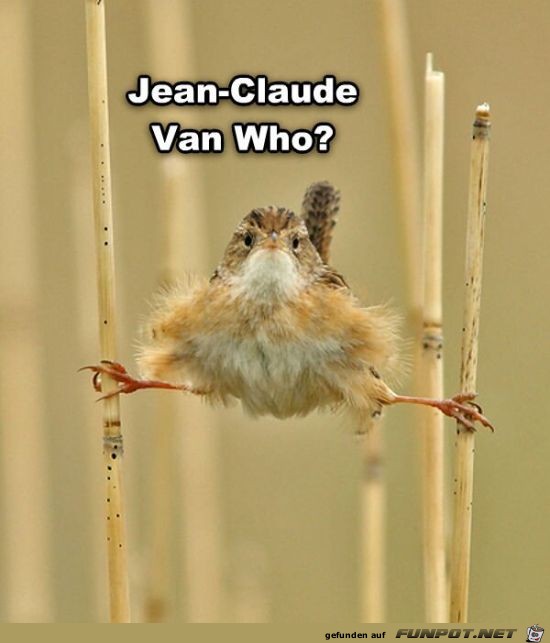Jean-Claude...