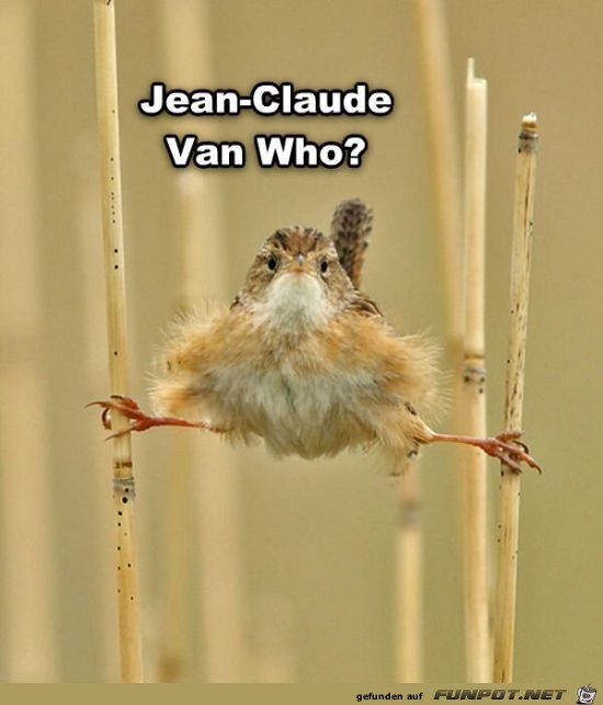 Jean-Claude... Jean-Claude...