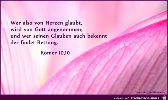 Roemer 10 10 Roemer 10 10