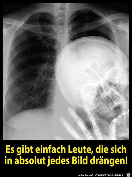 Ins Bild Springer Ihr kennt das Ins Bild Springer Ihr kennt das