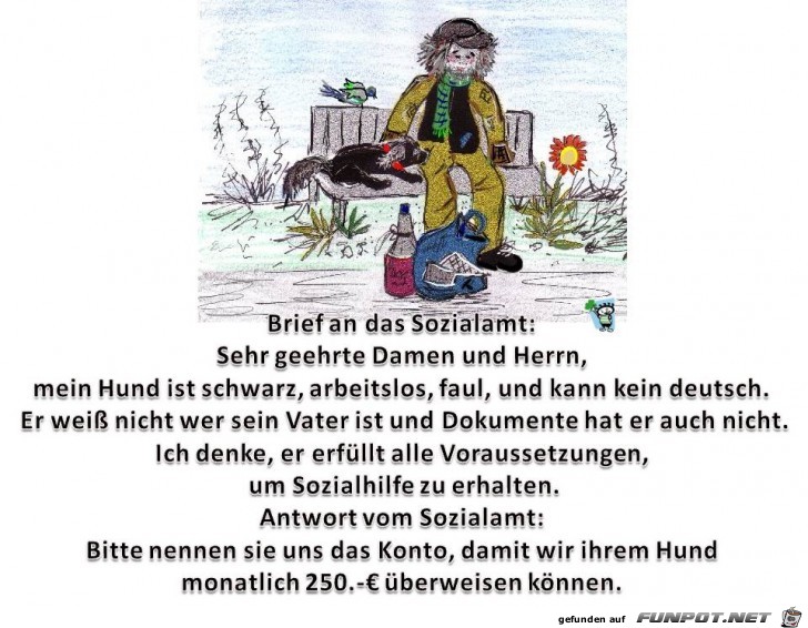 witzige Bilder aus verschiedenen Blogs