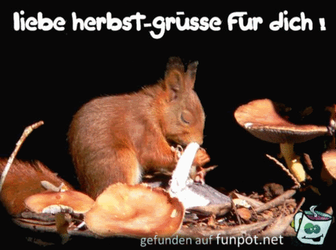 herbst12 herbst12