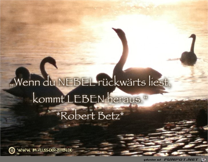Nebel Nebel