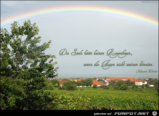 Regenbogen 