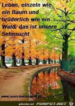 leben 8 leben 8