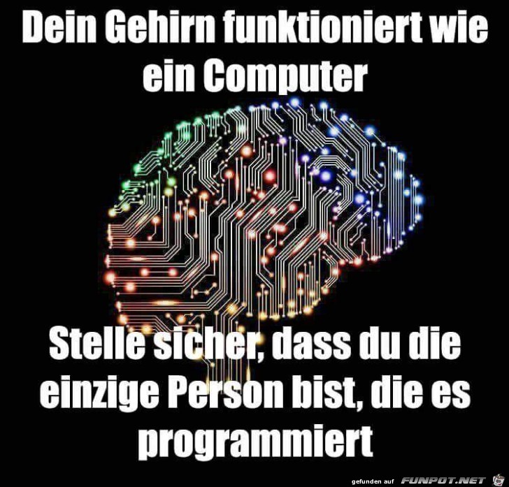 dein gehirn dein gehirn