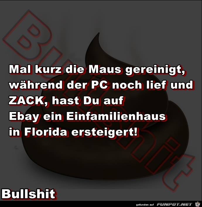 Reinigung der PC-Maus