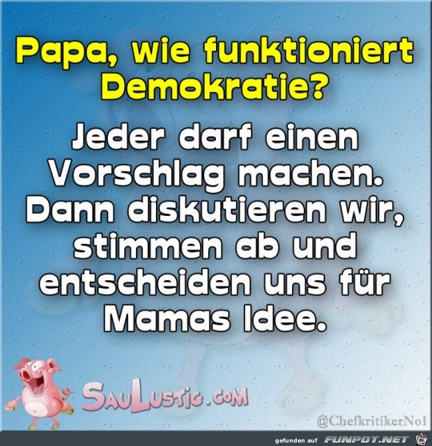 Wie funktioniert Demokratie