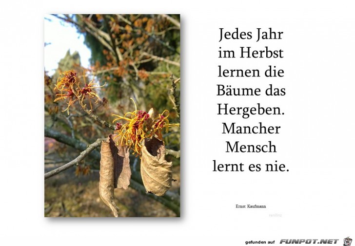jedes jahr jedes jahr