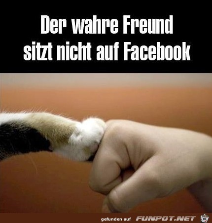 Der wahre Freund...