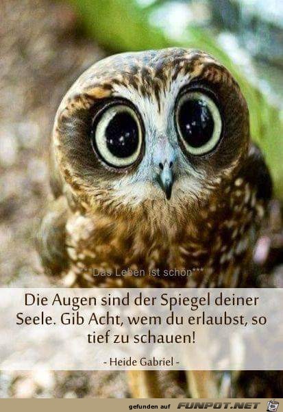 spiegel