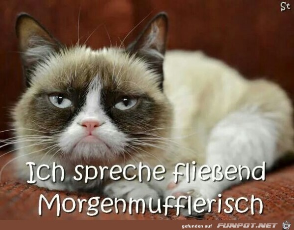 morgenmufflerisch morgenmufflerisch