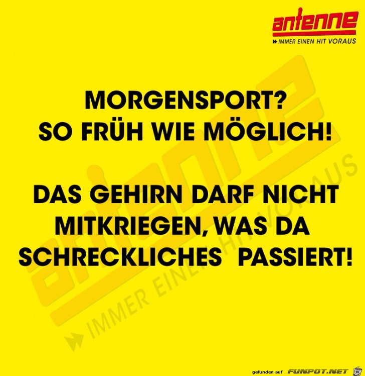 Morgensport