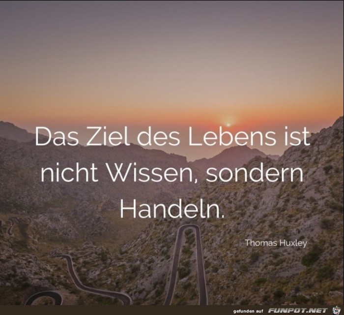 das ziel