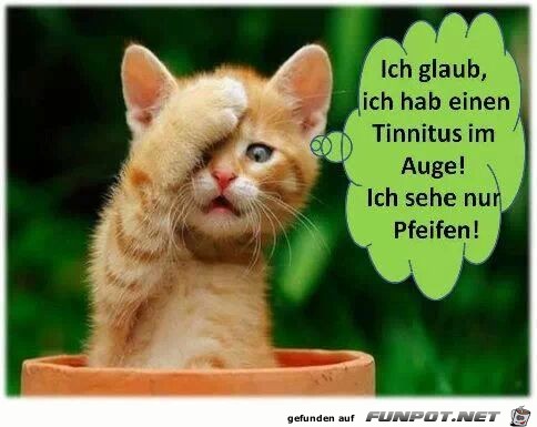 ich glaub ich hab einen tinnitus ich glaub ich hab einen tinnitus