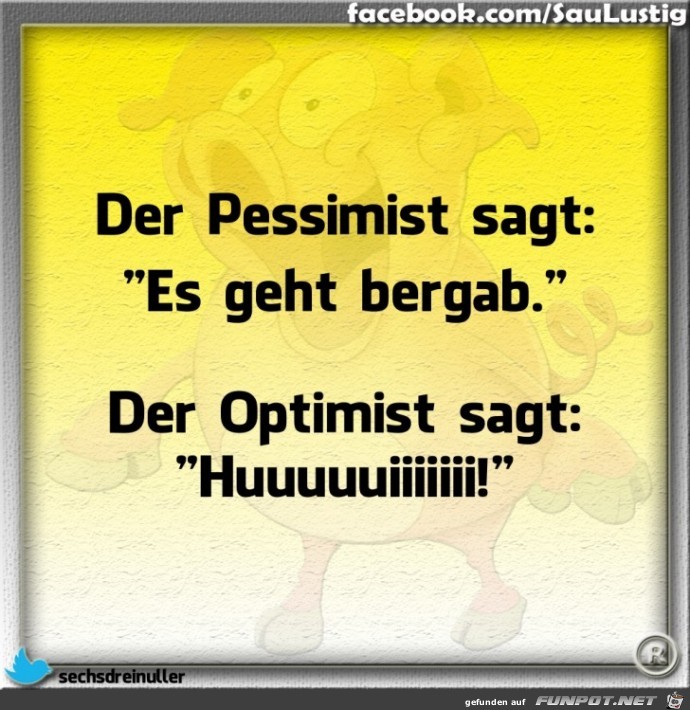  Pessimist und Optimist