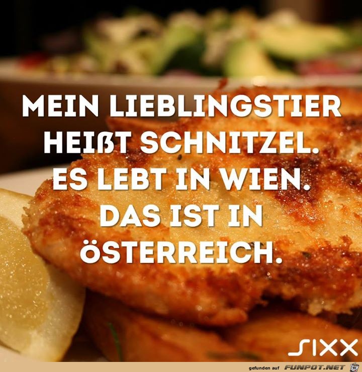 Lieblingstier Lieblingstier