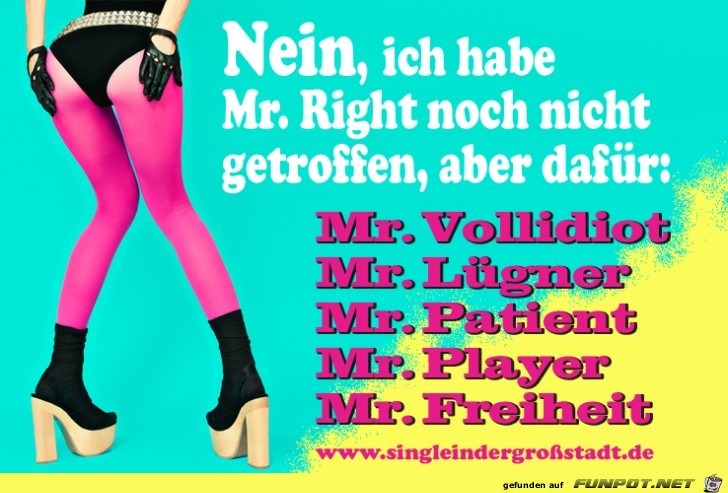 Mr Right noch nicht gefunden aber dafuer