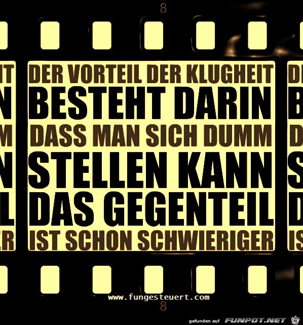 klugheit hat enorme vorteile wir knnen uns dumm stellen um klugheit hat enorme vorteile wir knnen uns dumm stellen um