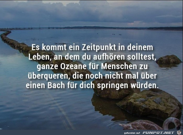 Ozeane Ozeane
