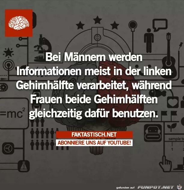 Gehirn Gehirn