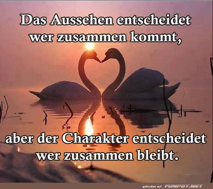 10 sch�ne Spr�che und Lebensweisheiten aus...